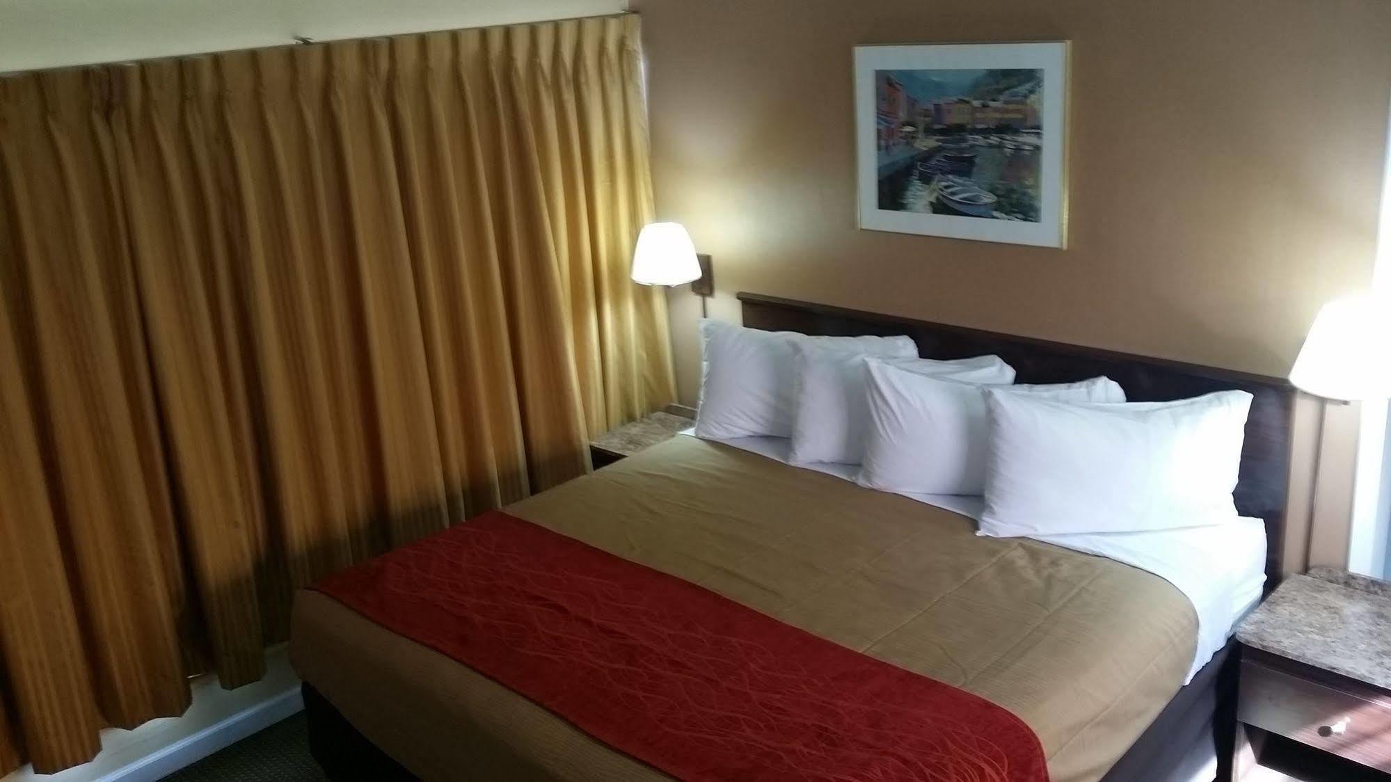 폼파노 비치 The Palms On Ocean 모텔 외부 사진