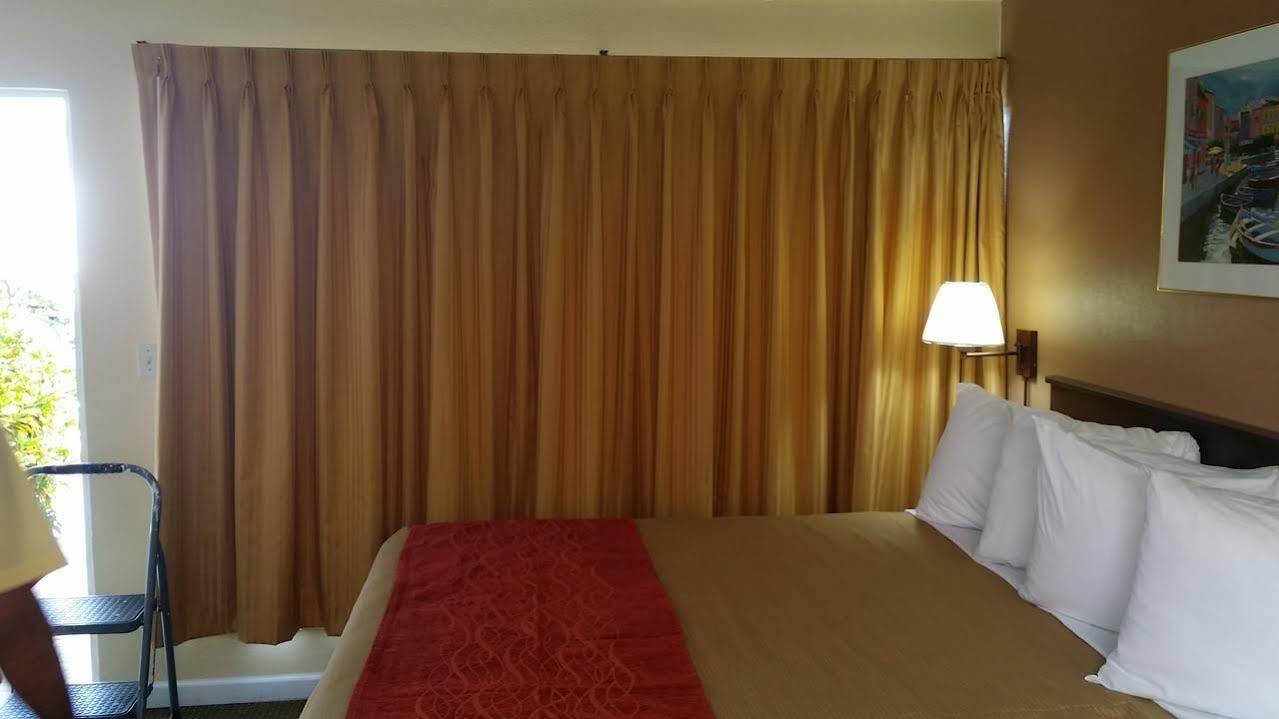 폼파노 비치 The Palms On Ocean 모텔 외부 사진